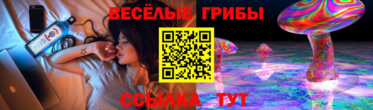 Псилоцибиновые грибы MAGIC MUSHROOMS  Вход с VPN  Галлюциногенные грибы мухоморы  Аксай 